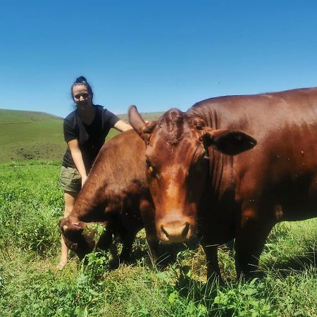 Nguni Moon Tepee Camp Ξενοδοχείο Underberg Εξωτερικό φωτογραφία