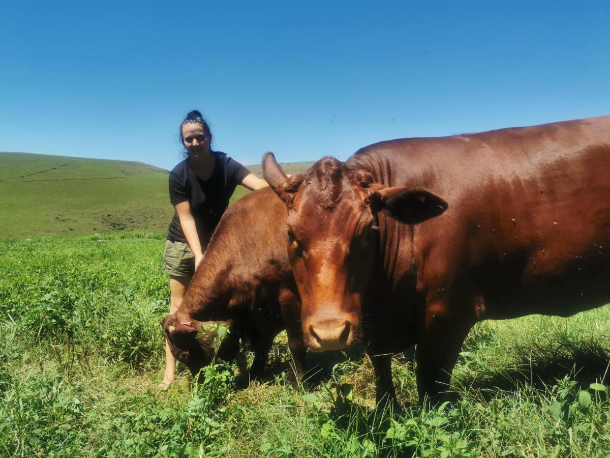 Nguni Moon Tepee Camp Ξενοδοχείο Underberg Εξωτερικό φωτογραφία