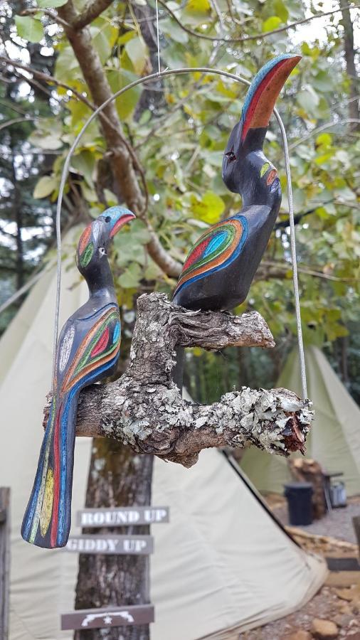 Nguni Moon Tepee Camp Ξενοδοχείο Underberg Εξωτερικό φωτογραφία