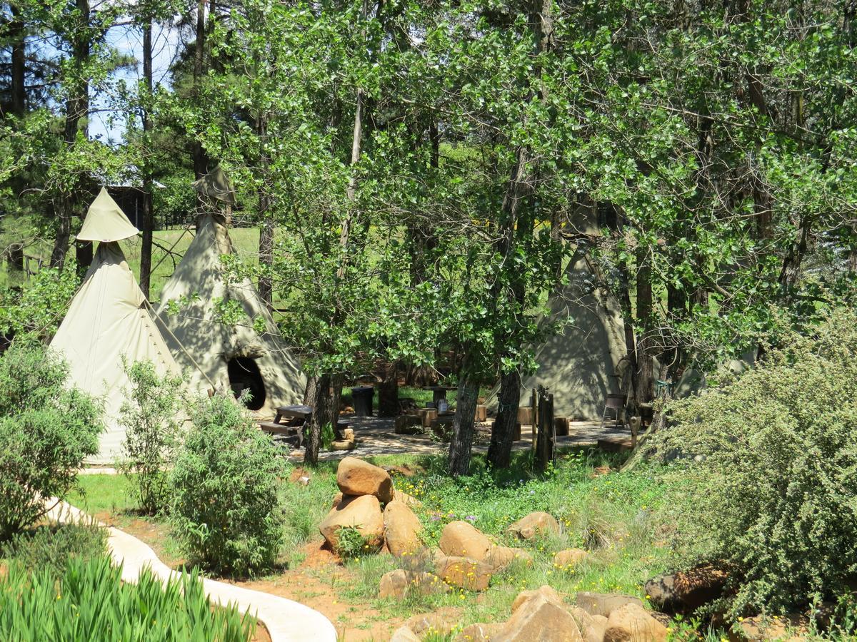 Nguni Moon Tepee Camp Ξενοδοχείο Underberg Εξωτερικό φωτογραφία